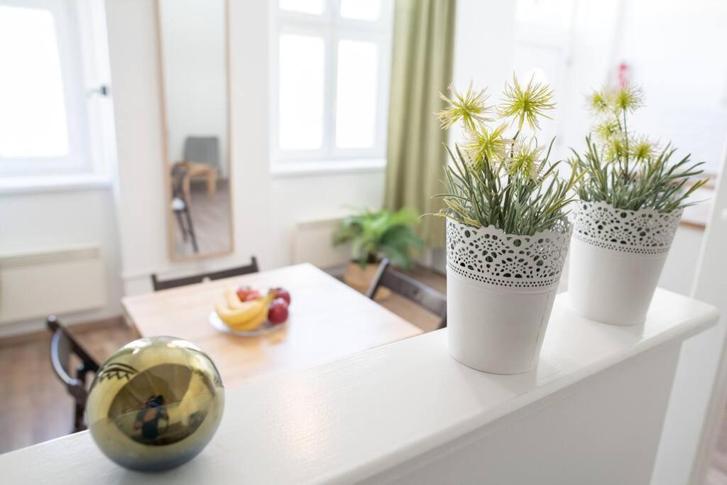 N28 Studio Next To Andrassy Boulevard. Budapeszt Zewnętrze zdjęcie